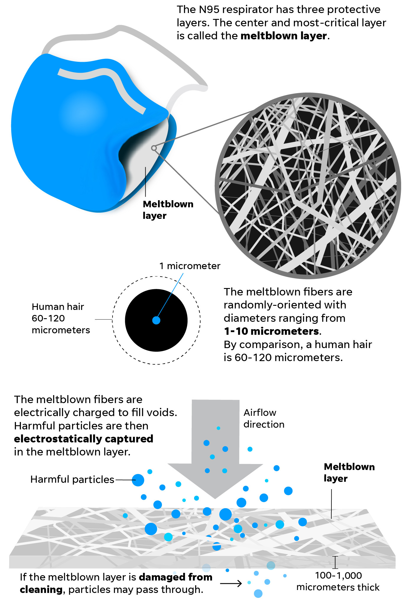 Cấu trúc sợi tóc và sợi meltblown dưới kính hiển vi
